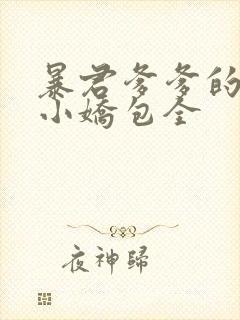 暴君爹爹的团宠小娇包全