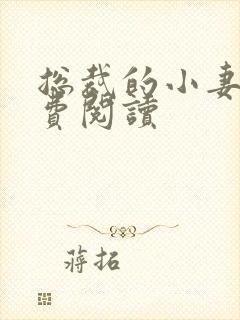 总裁的小妻子免费阅读