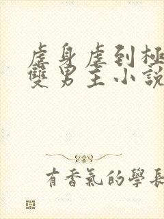 虐身虐到极致的双男主小说推荐