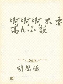 啊啊啊不要嗯嗯高h小说