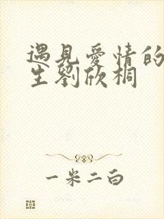 遇见爱情的利先生刘欣桐