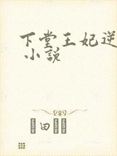 下堂王妃逆袭记 小说