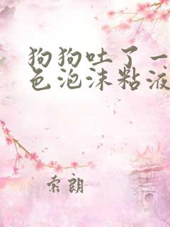 狗狗吐了一滩白色泡沫粘液还拉稀