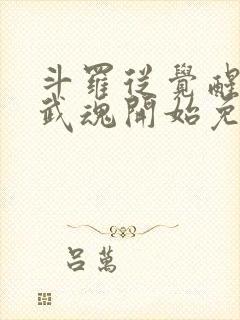 斗罗从觉醒朱雀武魂开始免费阅读