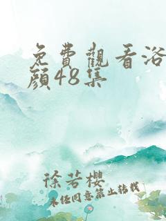 免费观看浴血红颜48集