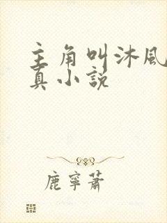 主角叫沐风的修真小说