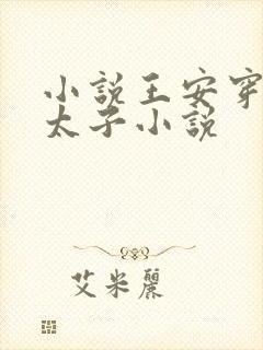 小说王安穿越成太子小说