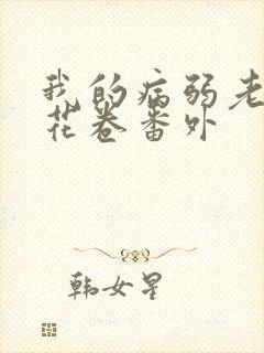 我的病弱老婆 花卷番外