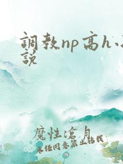 调教np高h小说