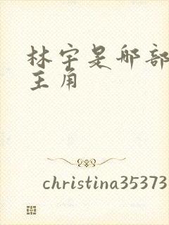 林宇是哪部小说主角