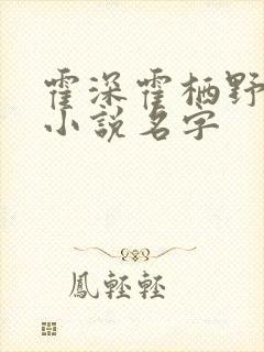 霍深霍栖野夏稚小说名字