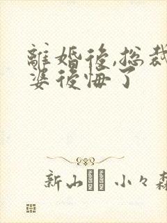 离婚后,总裁老婆后悔了