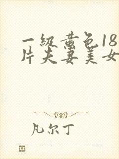 一级黄色18岁片夫妻美女