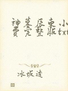 神墓辰东小说免费完整版txt