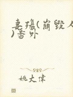 妻殇(崩毁人生)番外