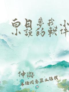 白日梦我小说看小说的软件