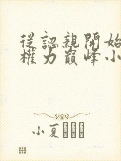 从认亲开始踏上权力巅峰小说章节目录