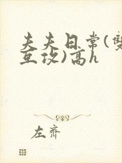 夫夫日常(双性互攻)高h