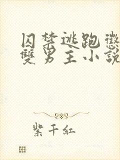 囚禁逃跑惩罚的双男主小说免费观看全文