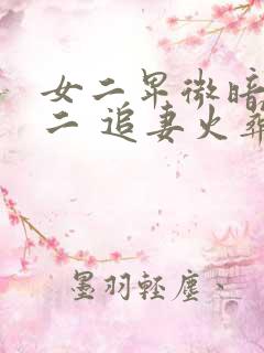女二卑微暗恋男二 追妻火葬场