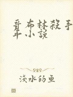 哥布林杀手第一年小说