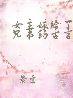 女主嫁给了一家兄弟的古言