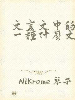 文言文中的书是一种什么文体