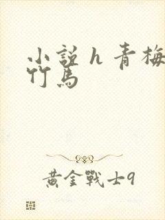 小说 h 青梅竹马