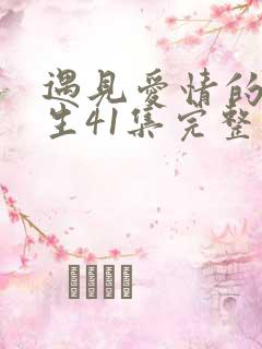 遇见爱情的利先生41集完整版