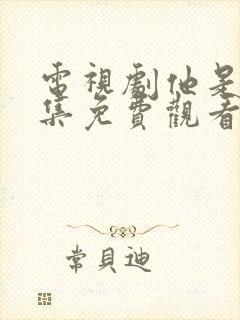 电视剧他是谁全集免费观看