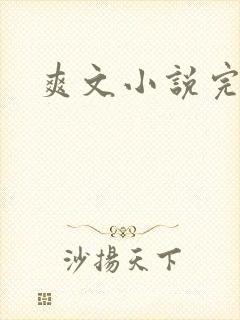 爽文小说完结篇