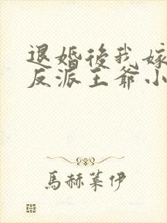 退婚后我嫁给了反派王爷小说