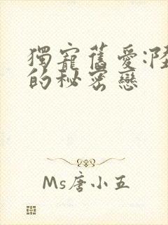 独宠旧爱:陆少的秘密恋