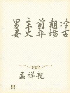 男主前期冷淡追妻火葬场古言