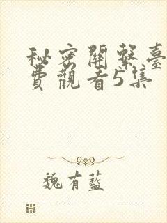 秘密关系台剧免费观看5集