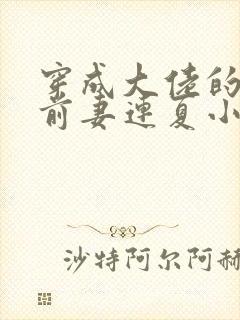 穿成大佬的病弱前妻连夏小说