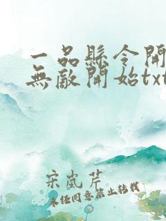 一品县令开局从无敌开始txt