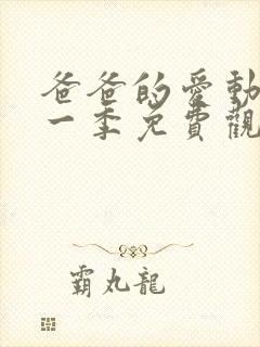 爸爸的爱动漫第一季免费观看