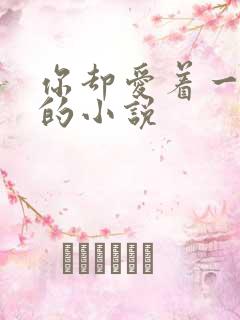 你却爱着一个他的小说