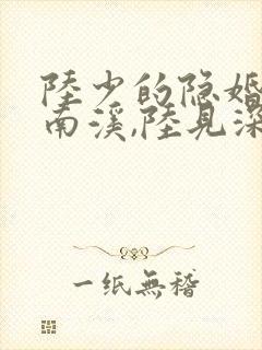 陆少的隐婚罪妻南溪,陆见深