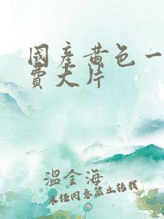 国产黄色一级免费大片