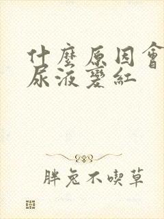 什么原因会导致尿液变红