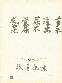 感觉尿道有尿可是尿不出来