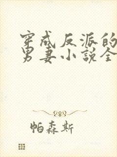 穿成反派的炮灰男妻小说全文