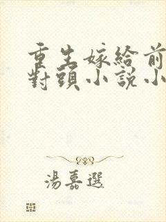 重生嫁给前夫死对头小说小说