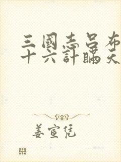 三国志吕布传三十六计瞒天过海攻略