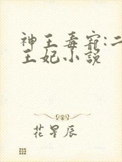 神王毒宠:二嫁王妃小说