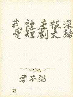 我被老板深深溺爱短剧大结局免费观看