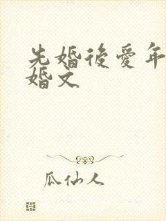 先婚后爱年代军婚文