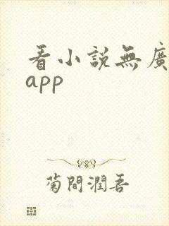 看小说无广告的app